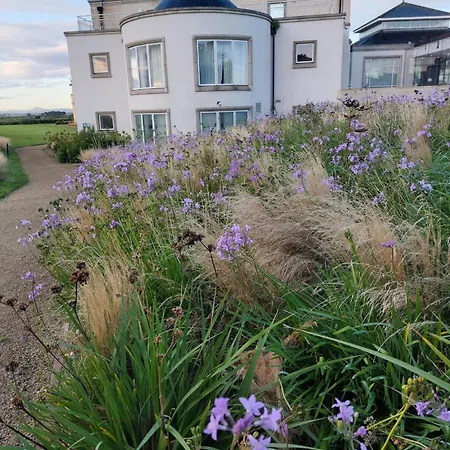 Hotel & Jameson Golf Links 4*